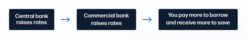 Interest rates infographic