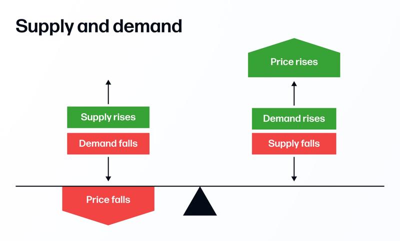 Infographic showing the impact of supply and demand on prices