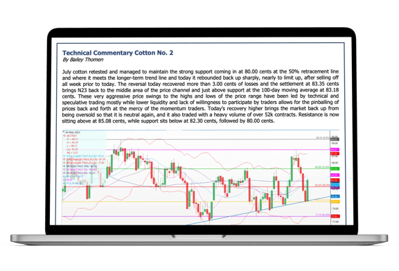 Laptop screen showing Technical Commentary from the Cotton Gold Plan Market Intelligence