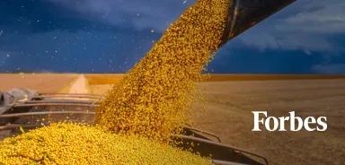 Forbes In the news - Previsão de safra 25/26