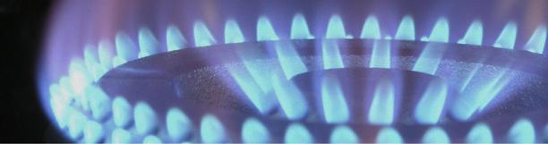 Close-up of blue flames burning on a natural gas stove.
