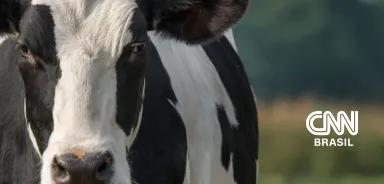 CNN In the news - Dairy 