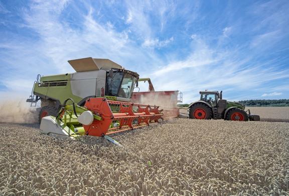 Combine harvester and tractor working together in a wheat field during harvest season under blue sky