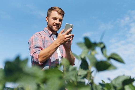 Homem agricultor em meio à lavoura verde, sorrindo enquanto utiliza smartphone para monitoramento agrícola.