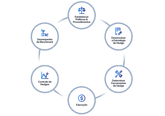 Diagrama circular que ilustra um ciclo de processo de hedge com seis estágios: Estabelecer políticas e procedimentos, desenvolver estratégia de hedge, determinar ferramentas de hedge, executar, rastrear hedges, avaliar o desempenho