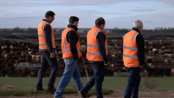 Group of inspectors in orange safety vests walking past a large cattle feedlot during an on-site evaluation