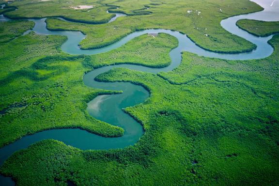 Aerial view of a winding river flowing through lush green wetlands and marshland.