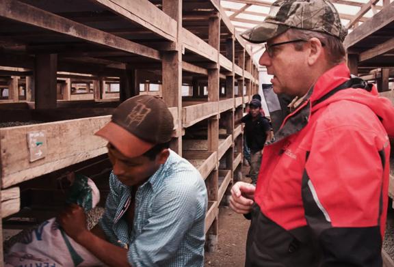 Two men in coffee facility