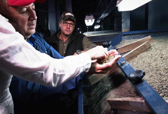 Men inspecting coffee beans