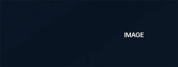 Alt text image hero