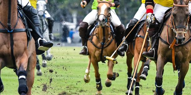 Polo match action with riders on horseback competing on a grass field.