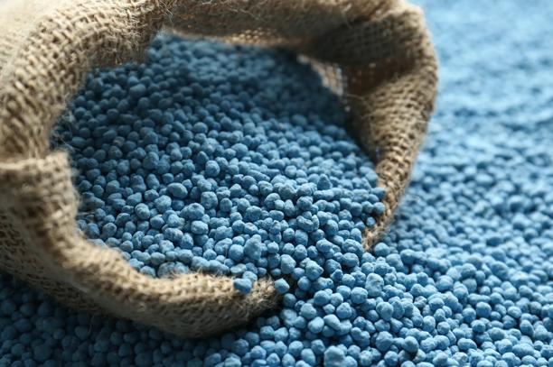 Fertilizante granulado azul em saco de juta, utilizado para nutrição agrícola