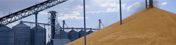 Industrial grain terminal with conveyor system, representing export and global food trade