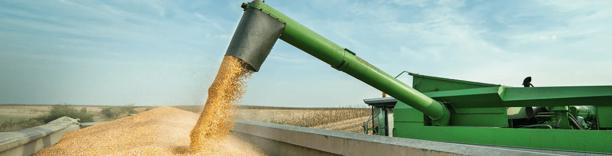Grain being poured into truck or storage, symbolizing harvest and food supply chain