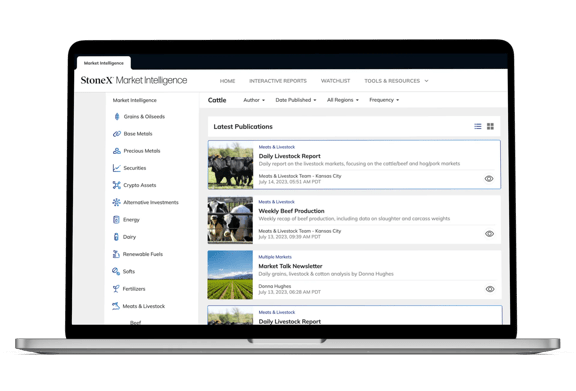Laptop screen showing latest livestock Market Intelligence reports