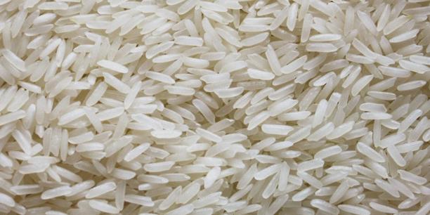 Uncooked white rice grains