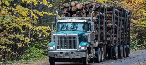 Truck loaded with logs driving through a forested area on a rural road.