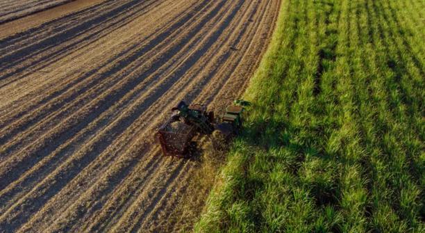 Aerial view of sugar cane field being harvested
