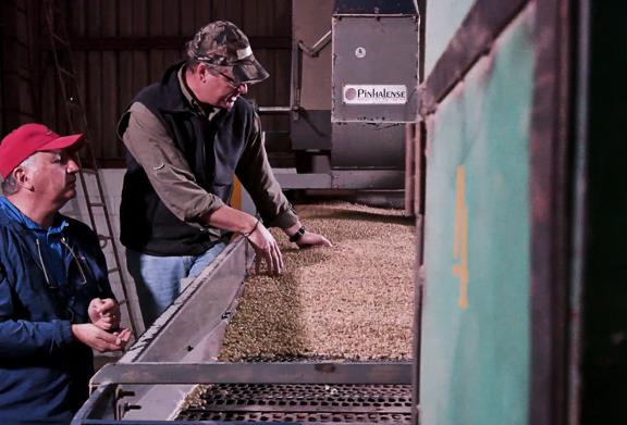 Workers examining harvested grain inside an agricultural storage facility