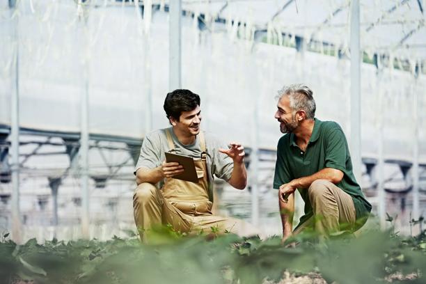 Two smiling men kneeling in a field of crops and conducting analysis