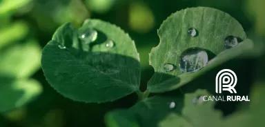 Canal Rural In the news - Clima em 2026 