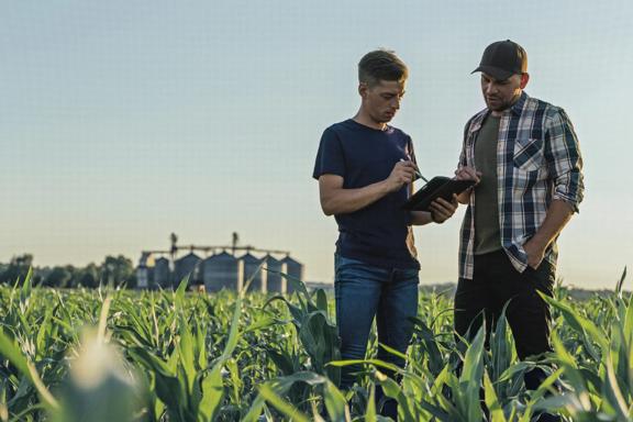Two agricultural professionals reviewing data on a tablet while standing in a crop field near grain storage facilities.