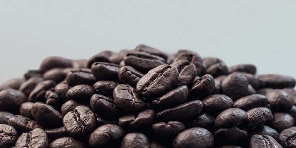 Close-up of roasted coffee beans piled together, highlighting their rich texture and dark brown color.