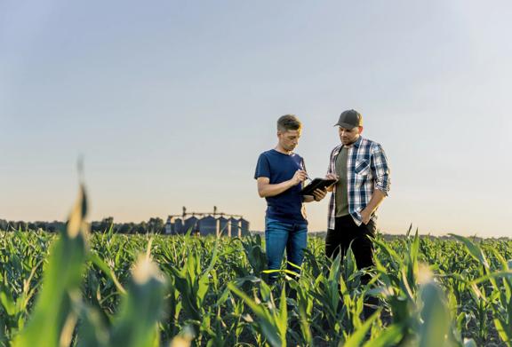 Two agricultural professionals discussing in a field	