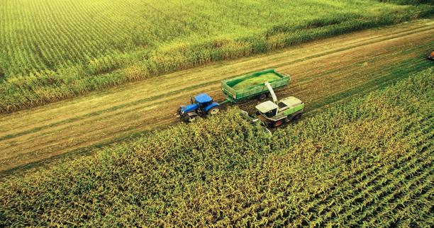 Harvesting in a field