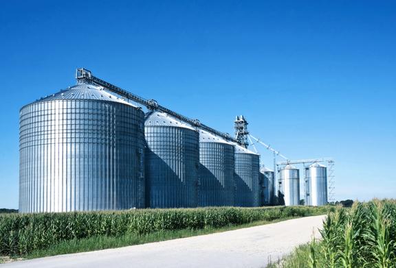 Row of large grain silos used for agricultural storage under a clear blue sky