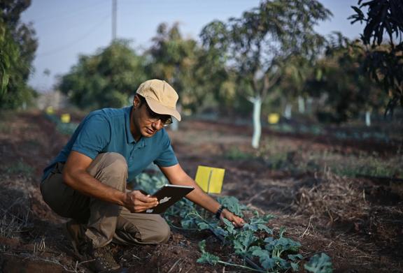 A field technician or farmer kneeling beside young vegetable plants in an orchard, examining crop conditions with a tablet in hand for precision agriculture monitoring.