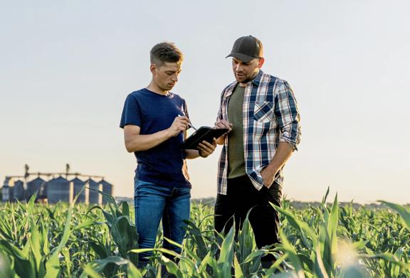 Two farmers using a digital tablet to analyze crop data in a cornfield with grain silos in the background