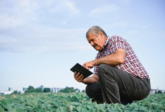 Farmer using a tablet to monitor crop progress in a field.
