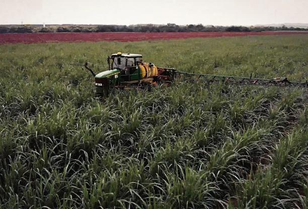 Trator dirigindo em um campo de cana-de-açúcar