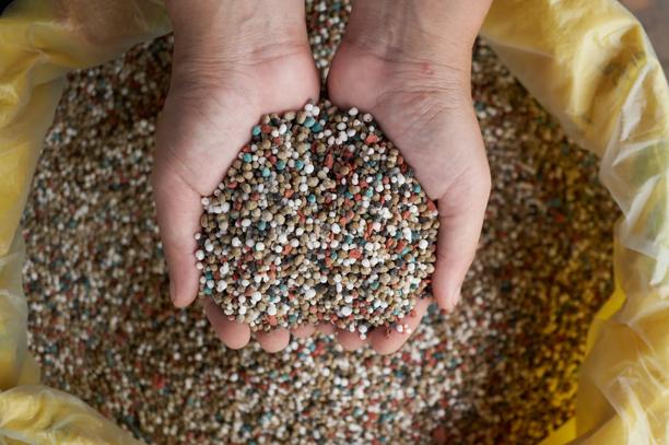 Hands holding colorful granular fertilizer inside a yellow bag, used for plant nutrition and agricultural growth.