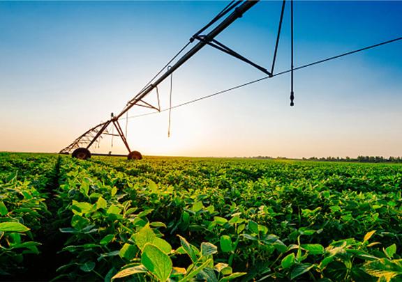 Center pivot irrigation system watering a green crop field at sunset in a modern agricultural setting