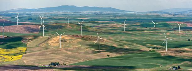 Scenic landscape with numerous wind turbines across rolling farmland, representing renewable energy and sustainable power generation.