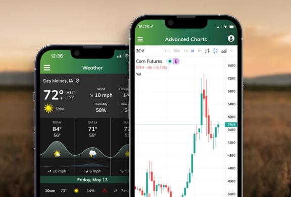 Smartphone screen showing weather and market data for agriculture	