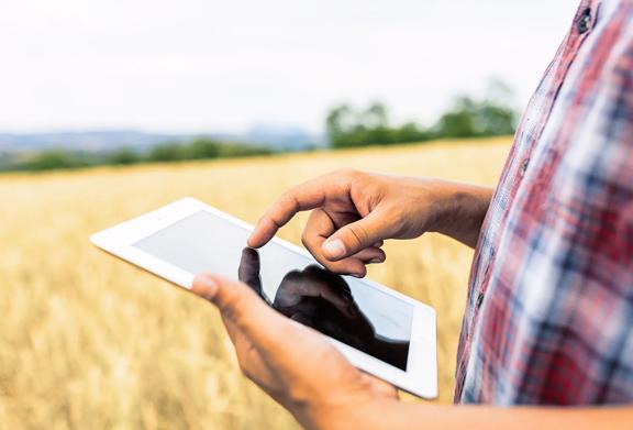 Agricultor usando um tablet para monitorar as plantações em um campo.