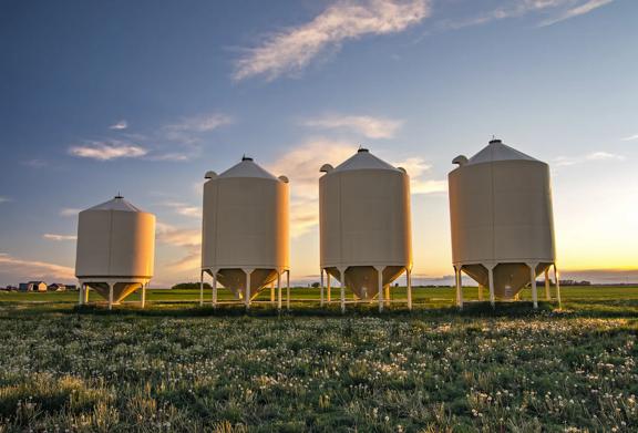 Four cylindrical silos in a field