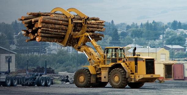 Large yellow log loader lifting freshly cut timber at a lumber processing yard.