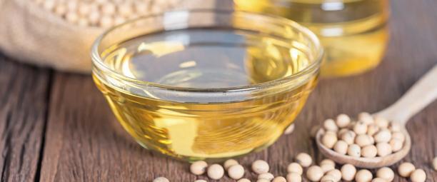 Bottle of soybean oil with soybeans scattered around.