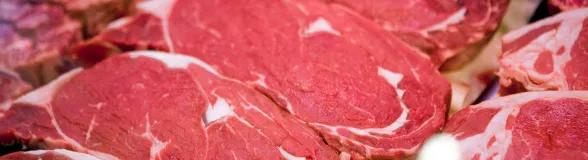Rows of raw beef cuts with visible marbling displayed for meat processing and sale
