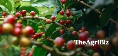 TheAgriBiz In the news