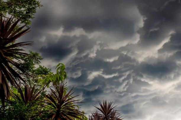  Nuvens de tempestade acima da árvore