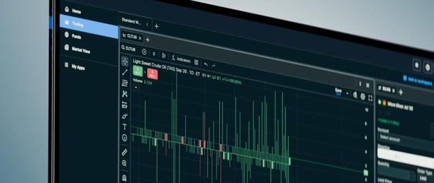 Professional trading platform on a desktop monitor featuring real-time market charts, technical indicators, and financial data for trading and investment analysis.