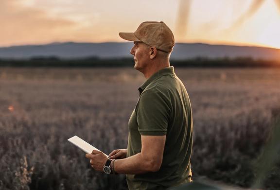 Agricultor usando tablet digital enquanto inspeciona plantações em um campo ao pôr do sol.