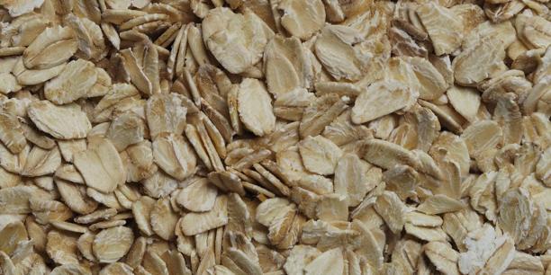 Close-up of rolled oats