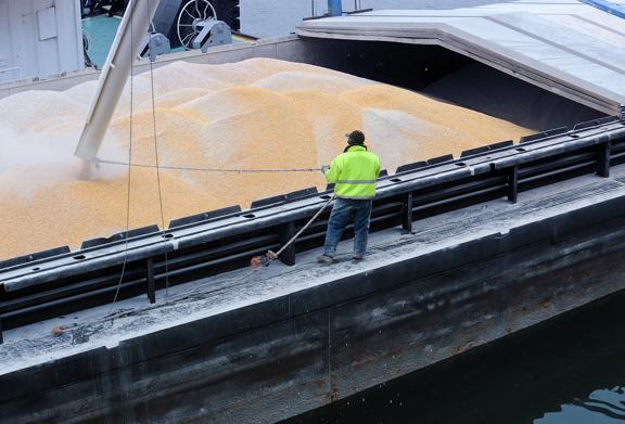 Trabalhador descarregando milho de um navio de carga usando um sistema de transporte no porto.