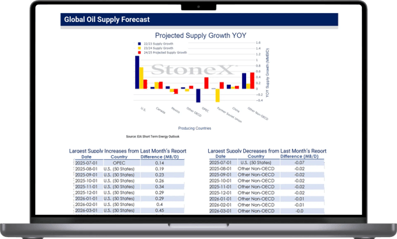 Laptop screen showing Daily Natural Gas Market Update